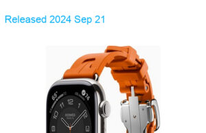 Apple Watch Series 10 42mm Hermes TD-LTE NA A3001
