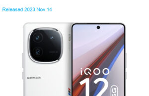 BBK vivo iQOO 12 5G Standard Edition Dual SIM TD-LTE CN 256GB V2307A