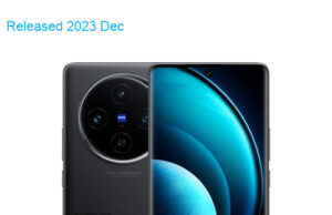 BBK Vivo X100 5G Standard Edition Global Dual SIM TD-LTE 256GB V2308