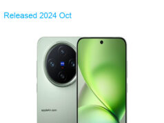 BBK Vivo X200 Pro Mini 5G Premium Edition Dual SIM TD-LTE CN V1 512GB V2419A