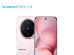 BBK Vivo X200 Pro Mini 5G Standard Edition Dual SIM TD-LTE CN V1 256GB V2419A