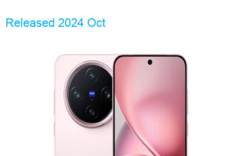 BBK Vivo X200 Pro Mini 5G Standard Edition Dual SIM TD-LTE CN V1 256GB V2419A