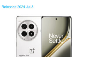 OnePlus Ace 3 Pro 5G Porcelain Collector Edition Dual SIM TD-LTE CN 1TB PJX110