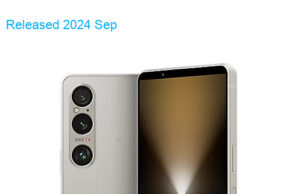 Sony Xperia 1 VI 5G UW Dual SIM TD-LTE NA 256GB XQ-EC64