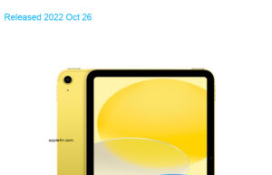 Apple iPad 5G 10.9-inch 2022 10th gen A2777 TD-LTE CN 256GB