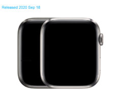 Apple Watch Edition Series 6 44mm TD-LTE NA A2294