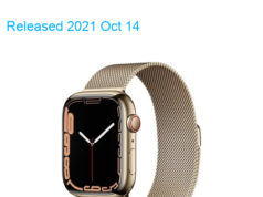 Apple Watch Series 7 45mm Hermes TD-LTE NA A2477