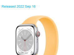 Apple Watch Series 8 45mm TD-LTE CN A2858