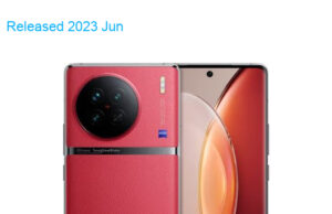 BBK Vivo X90s 5G Premium Edition Dual SIM TD-LTE CN 256GB V2241HA