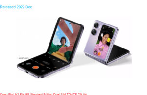 Oppo Find N2 Flip 5G Standard Edition Dual SIM TD-LTE CN V4 256GB PGT110