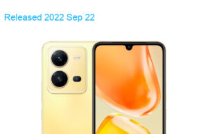 BBK Vivo X80 Lite 5G 2022 Standard Edition Dual SIM TD-LTE EU V4 256GB V2208