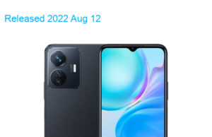 BBK Vivo Y77e 5G 2022 Premium Edition Dual SIM TD-LTE CN 256GB V2166BA