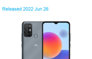 ZTE Changxing 30 Dual SIM TD-LTE CN 64GB 1010L