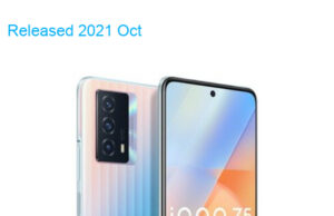 BBK vivo iQOO Z5 5G Standard Edition Dual SIM TD-LTE CN 128GB V2148A