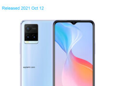 BBK Vivo Y21s 2021 Premium Edition Dual SIM TD-LTE VN V3 V2110