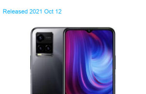 BBK Vivo Y33s 2021 Premium Edition Dual SIM TD-LTE IN V2 V2109