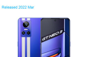 Oppo Realme GT Neo3 5G 2022 80W Premium Edition Dual SIM TD-LTE CN 256GB RMX3560