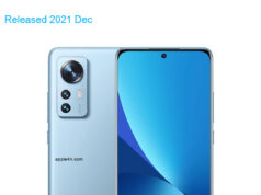 Xiaomi Mi 12X 5G Standard Edition Dual SIM TD-LTE CN 256GB 2112123AC